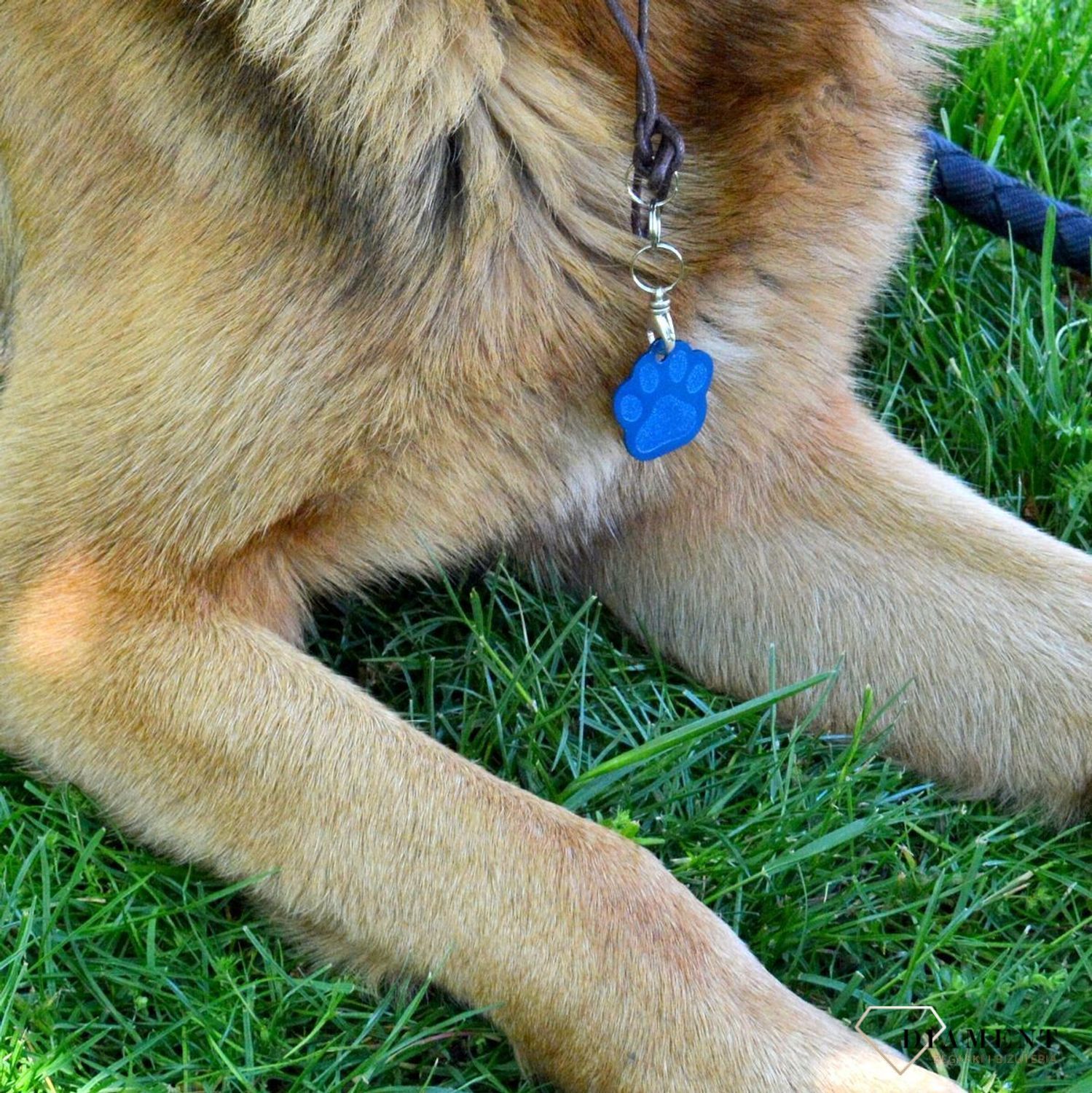 Blaszka dla pupila łapka psa 3,5 cm z miejscem na grawer Łapka psa blue L. Blaszka w formie adresówki, identyfikatora dla psa. Blaszka z miejscem na grawer. Na adresówce możemy wygrawerować np. imię psa i nr telefonu do właści.jpg